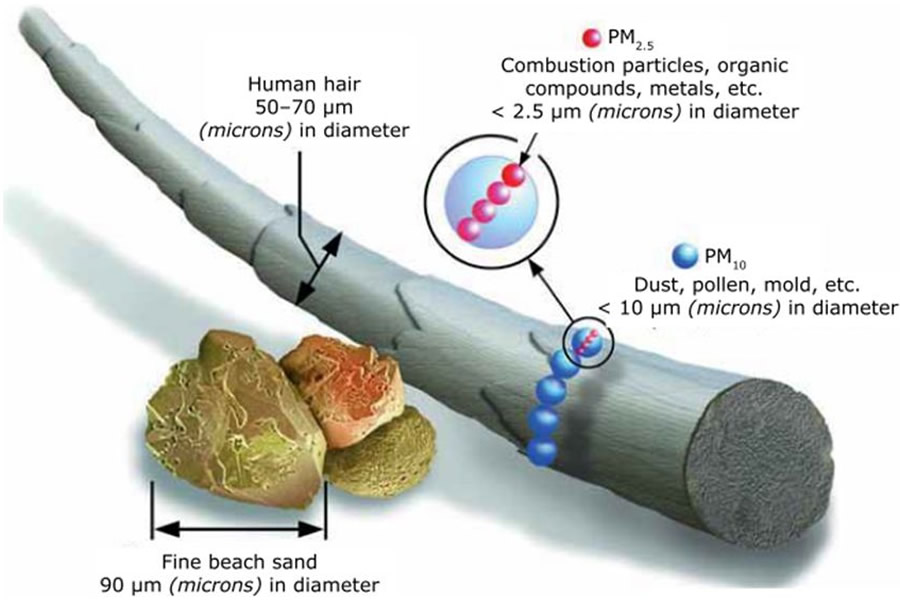 Particulate matter diagram showing sizes of PM2.5 and PM10 particle pollution released by limestone quarries similar to the proposed Vulcan Comal quarry