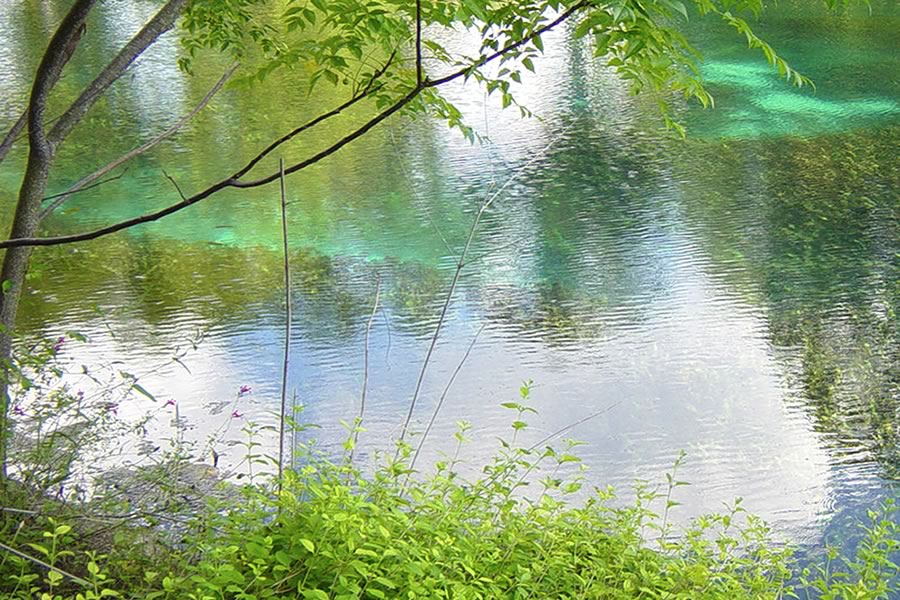 Spring-fed river in the environmentally sensitive Edwards Aquifer region