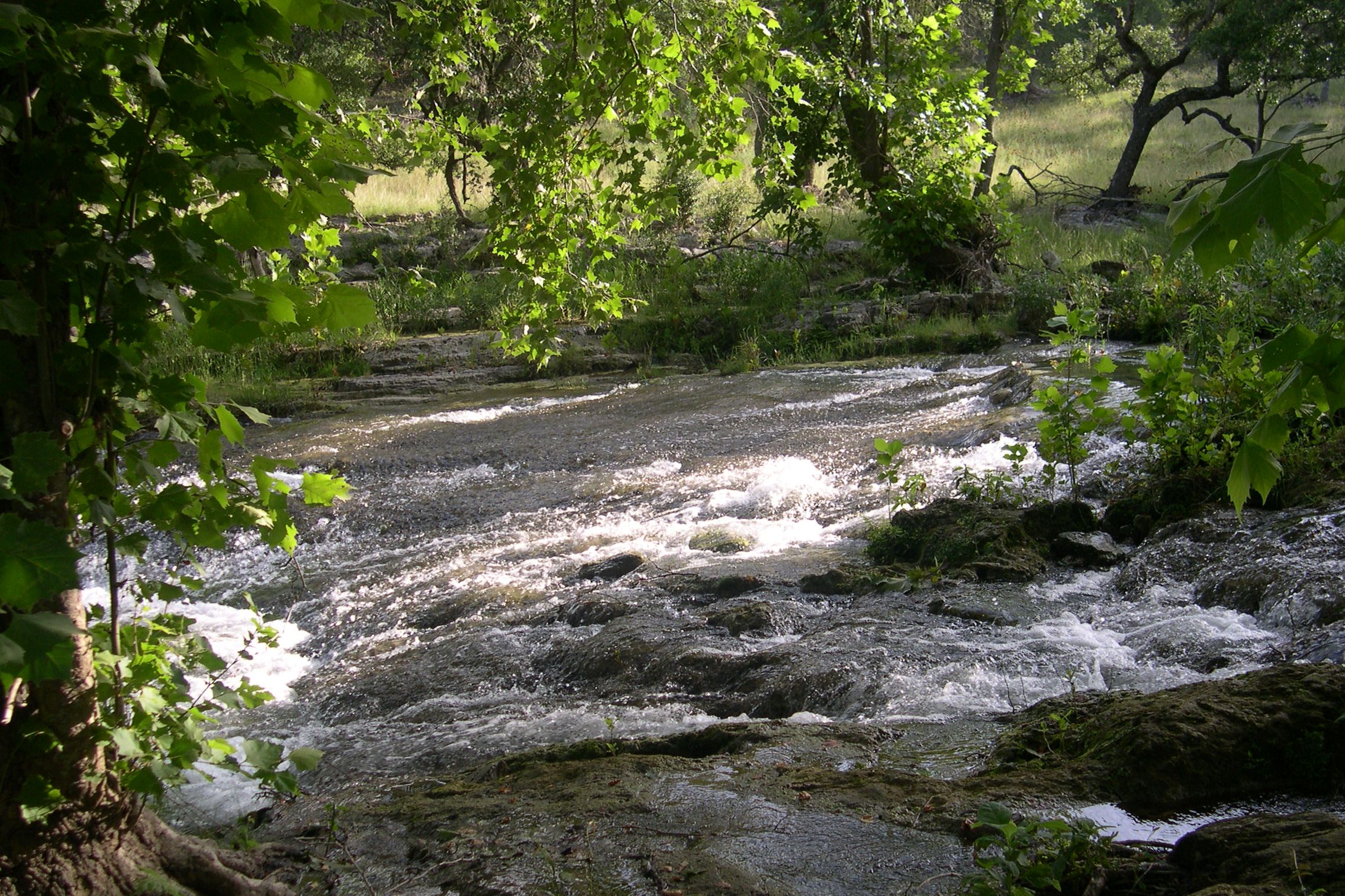 Spring Branch, in Comal County, Texas