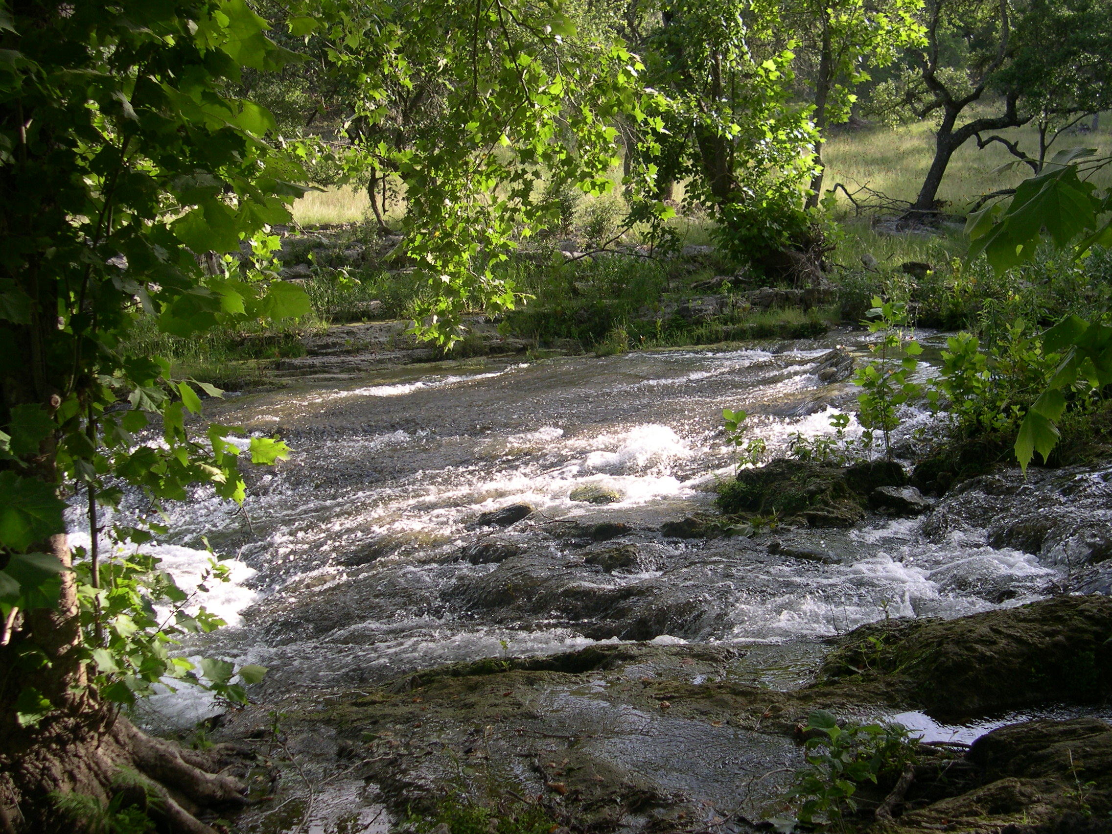 Spring Branch, in Comal County, Texas