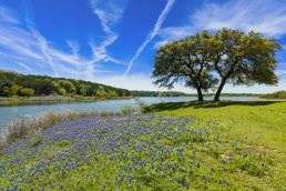 Vintage Oaks, New Braunfels, Comal County, Texas