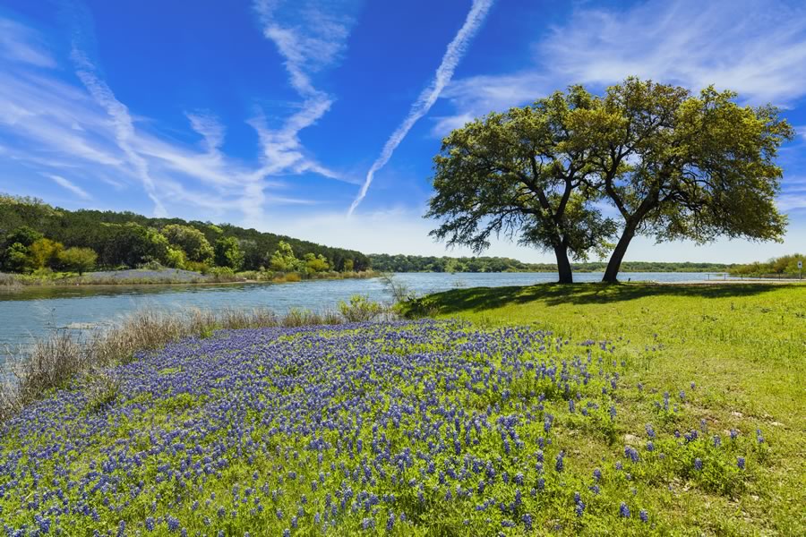 Vintage Oaks, New Braunfels, Comal County, Texas