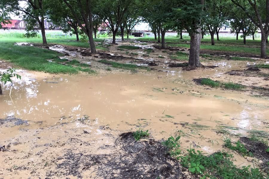 Liquid from Apparent Breach in Tailing Pond Dam from Anderson Columbia Quarry in Edwards Aquifer Recharge Zone, Comal County, Texas