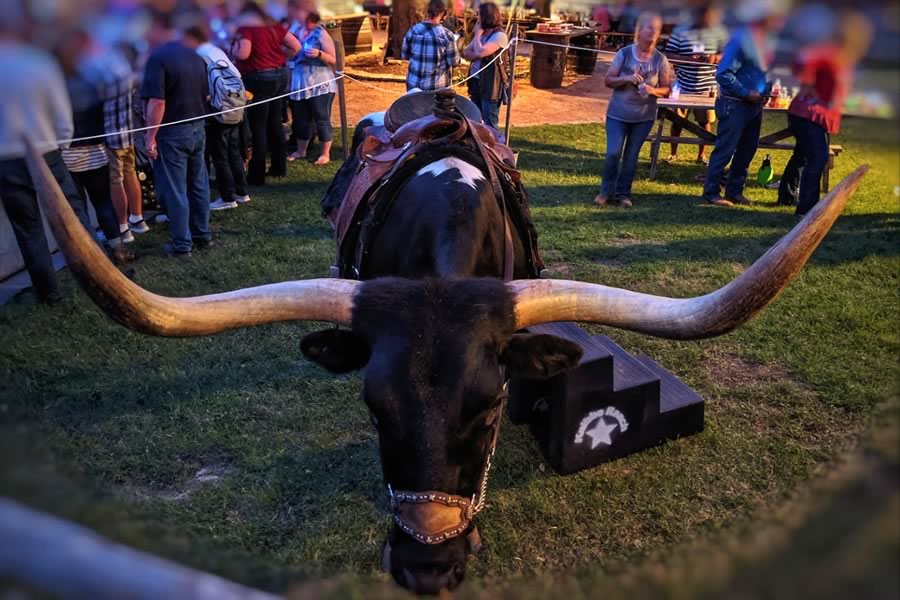 Preserve Our Hill Country Environment Bluebonnet Extravaganza Dinner & Auction - April 2, 2022 - Knibbe Ranch - Spring Branch, Texas