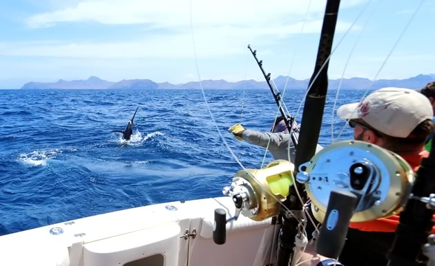 Four all-inclusive nights in Los Cabos, with sport fishing trip