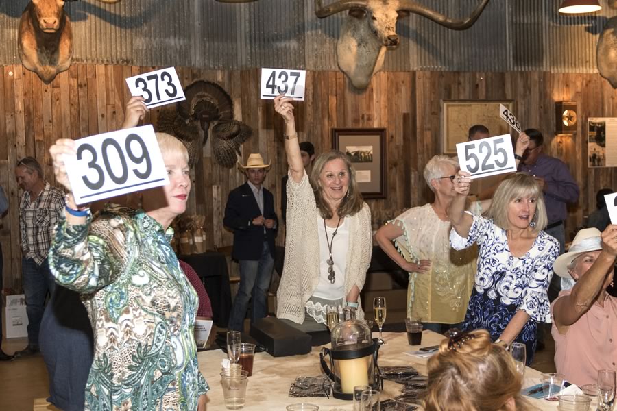 Preserve Our Hill Country Environment, Bluebonnet Extravaganza Dinner & Auction, Spring Branch, Texas