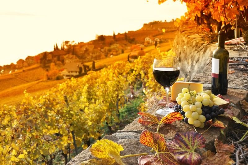 Tuscany with dinner and wine by private chef (6 nights for two)